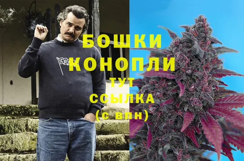 Конопля OG Kush  Сарапул 